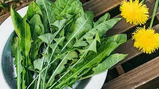 All Day Slimming Tea Ingredients, Dandelion Leaves