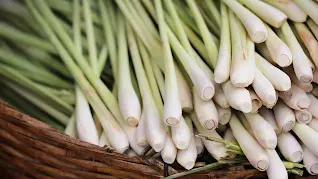 All Day Slimming Tea Ingredients , Lemon Grass