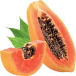Natural synadentix ingredients for dental health