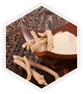 Ashwagandha, Prostavive ingredients