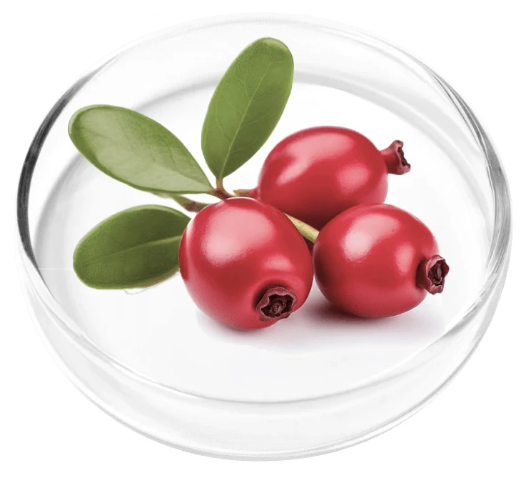 Femicore ingredients Bearberry