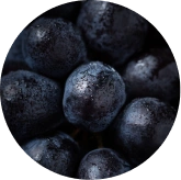 Grape Seed Extract, Rutin, Quercetin, Gut-Eye Barrier Complex