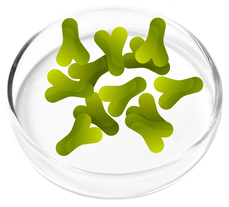 Femicore ingredients