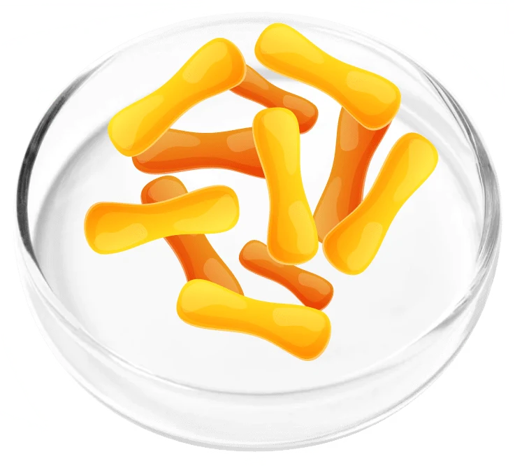 Femicore ingredients