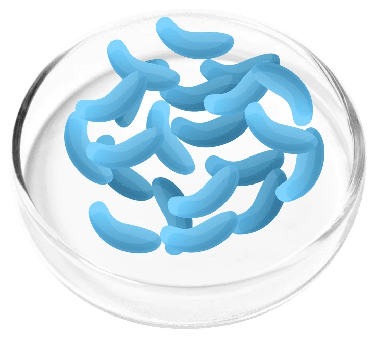 Femicore ingredients