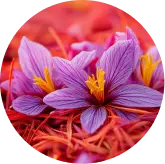Saffron Extract visiflora ingredient