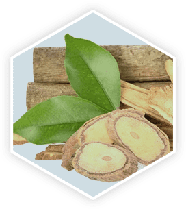 Tongkat Ali ProstaVive ingredients