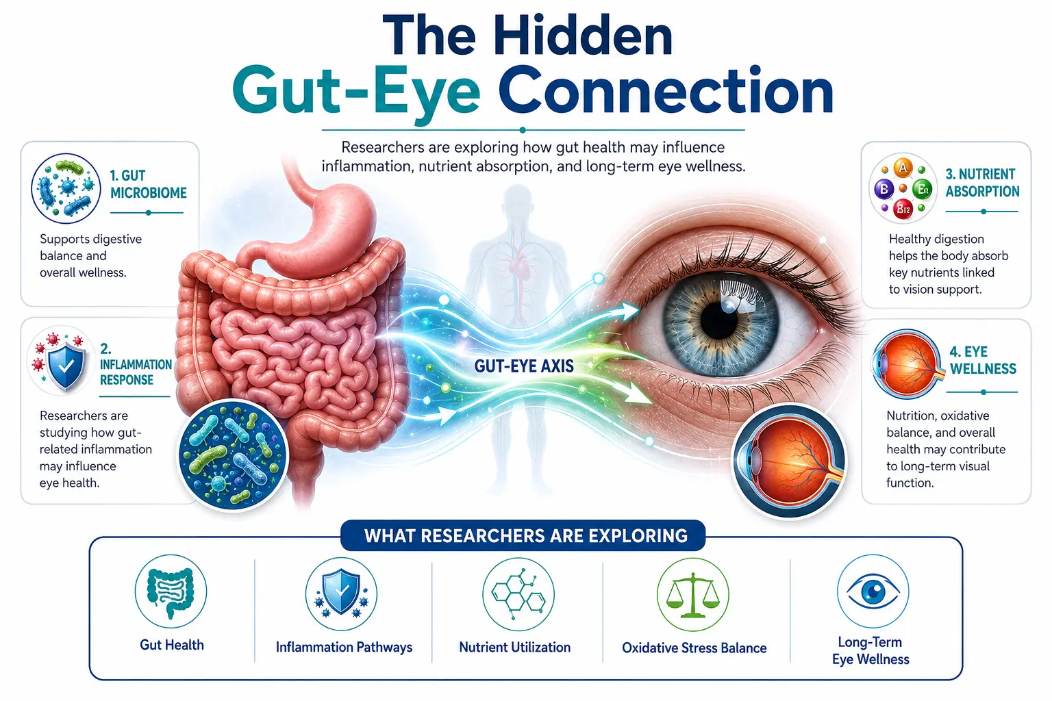 The relationship between gut health, nutrient absorption, inflammation, and long-term eye health.