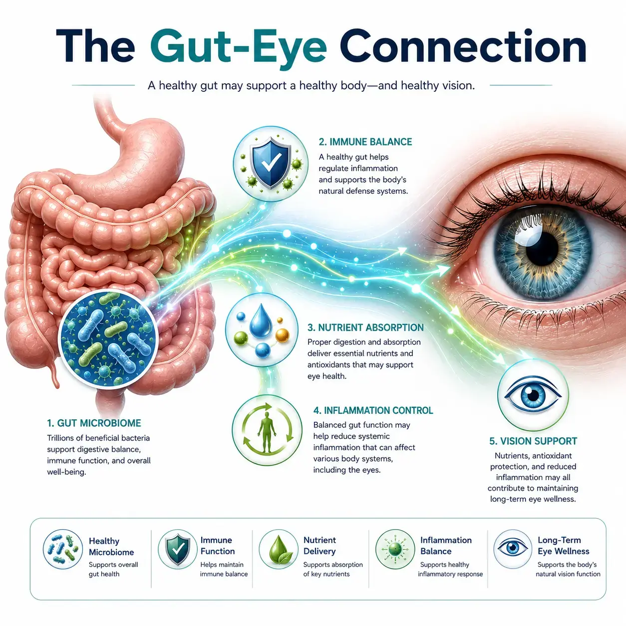 how gut health affects eye health