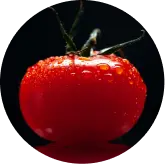 visiflora ingredient Lycopene